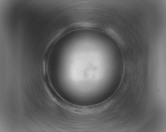 X0000082930014200702081553