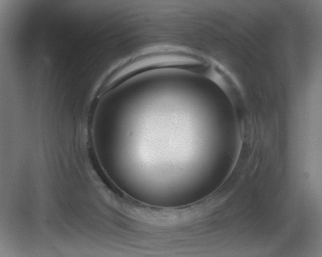 X0000082930015200702081553