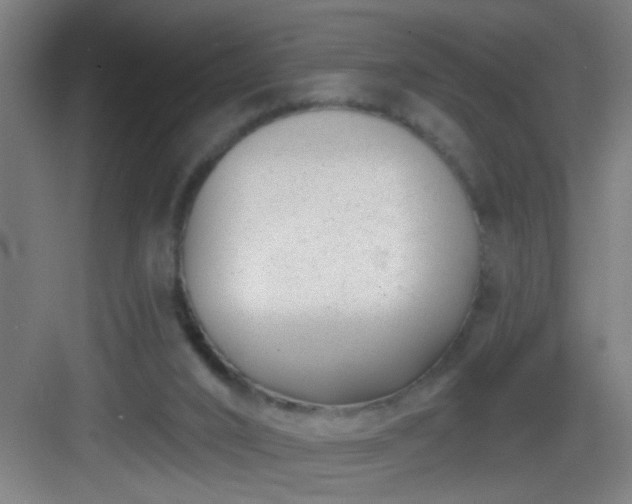 X0000082930016200702081553