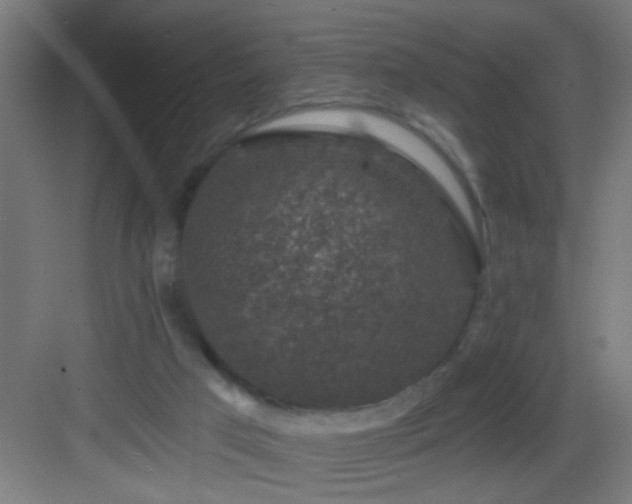 X0000082930017200702081553