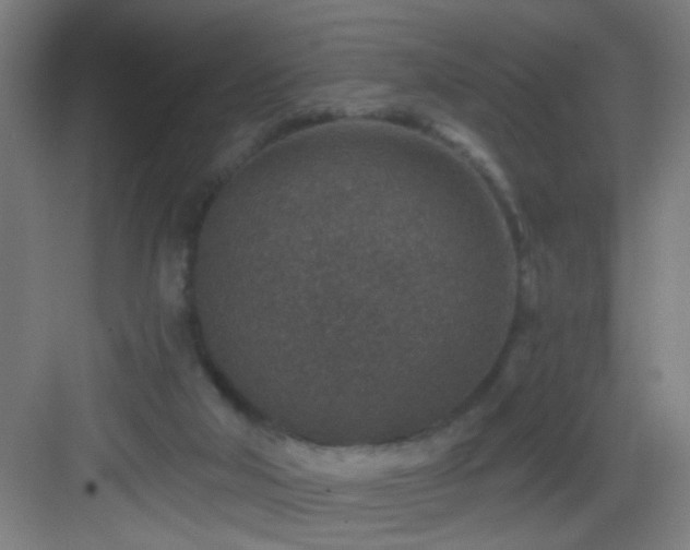 X0000082930018200702081553