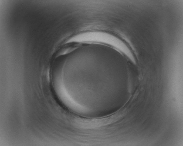 X0000082930019200702081553