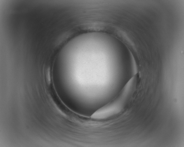 X0000082930020200702081553