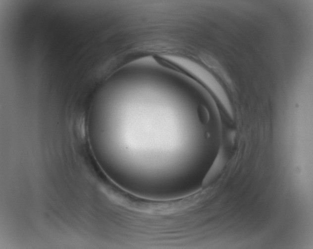 X0000082930021200702081553