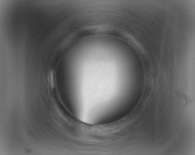 X0000082930022200702081553