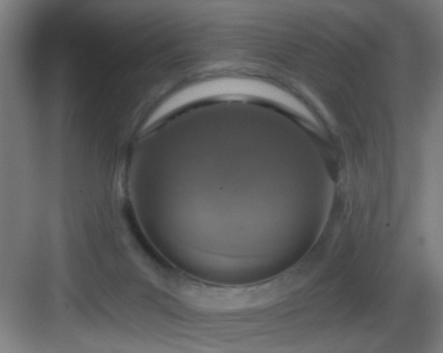 X0000082930023200702081553