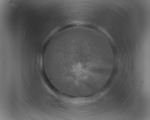 X0000082930024200702081553