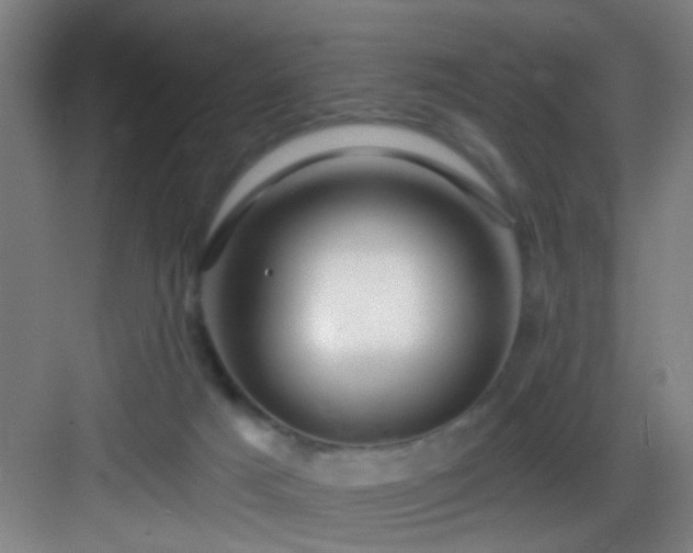 X0000082930025200702081553