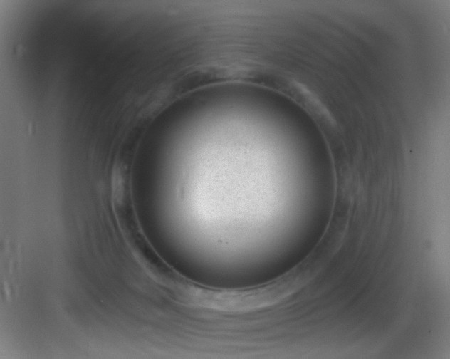 X0000082930026200702081553