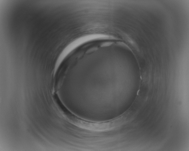 X0000082930027200702081553