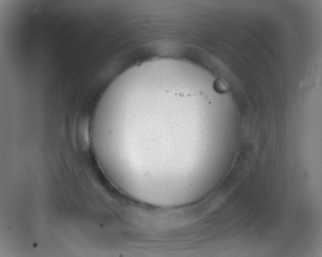 X0000082930028200702081552