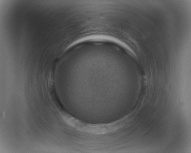 X0000082930029200702081552