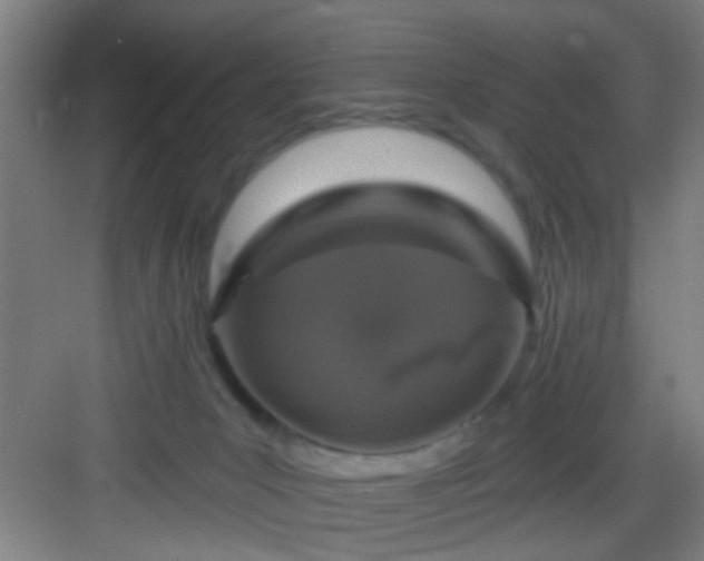 X0000082930031200702081552