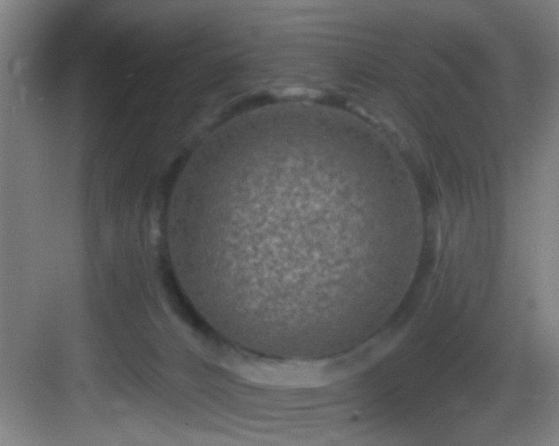 X0000082930032200702081552