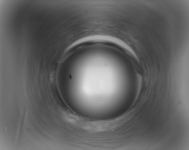 X0000082930033200702081552