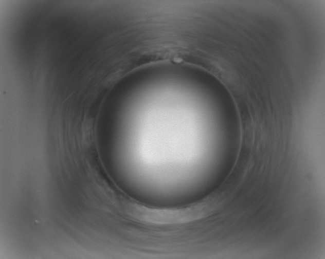 X0000082930034200702081552