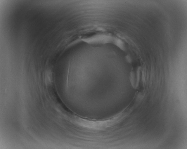 X0000082930035200702081552