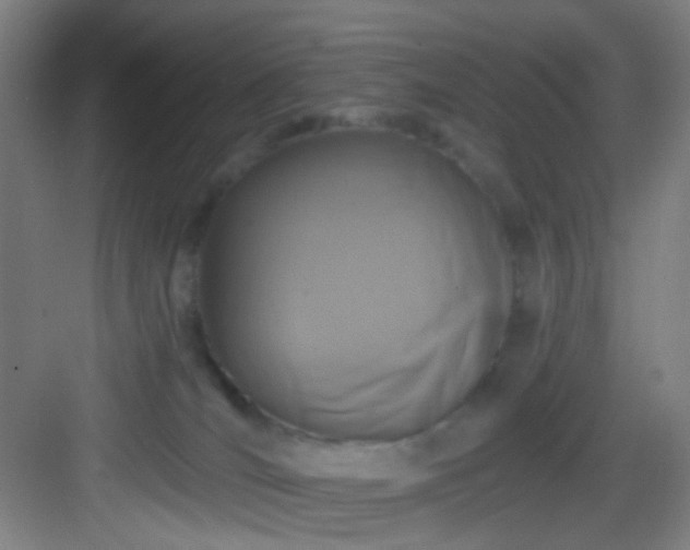 X0000082930036200702081552