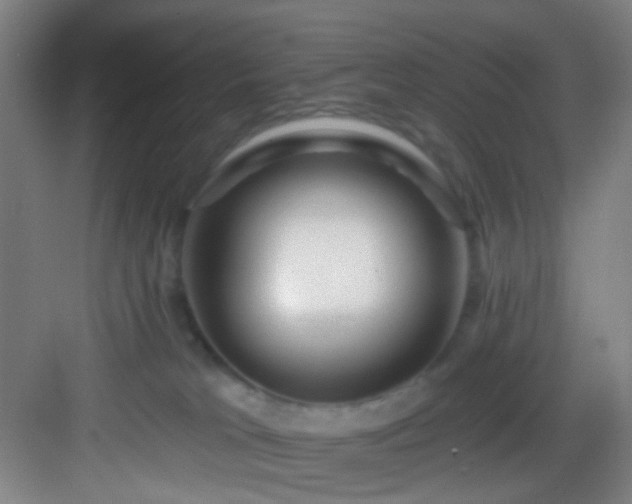 X0000082930037200702081552