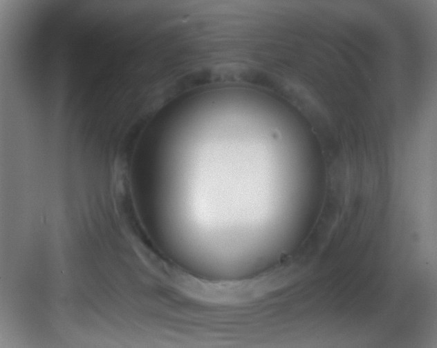 X0000082930038200702081552