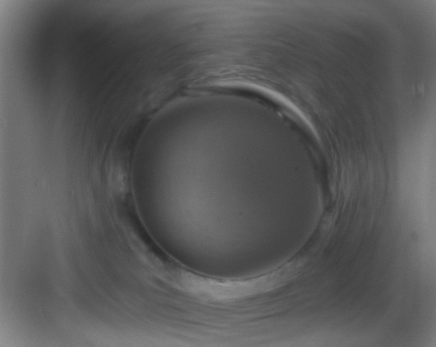 X0000082930039200702081552