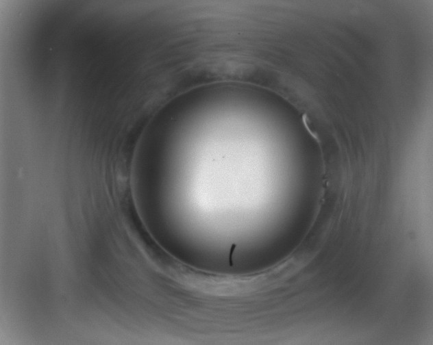 X0000082930040200702081552