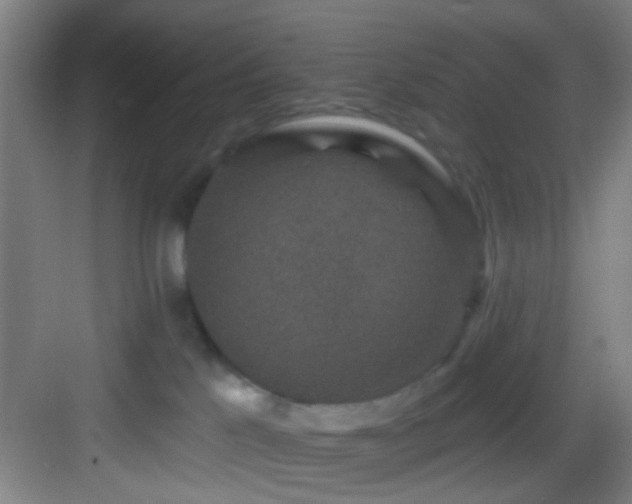 X0000082930041200702081552