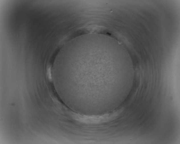 X0000082930042200702081552