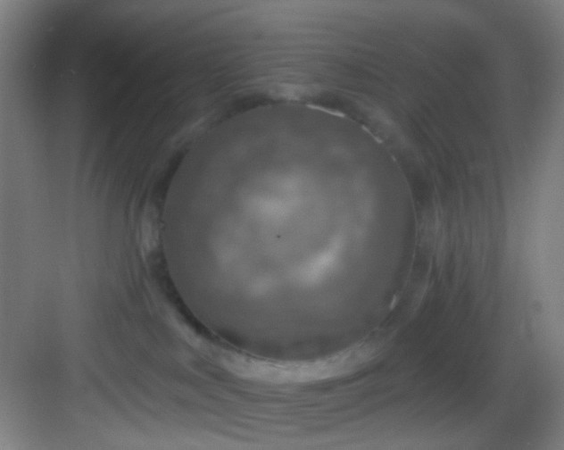 X0000082930043200702081552