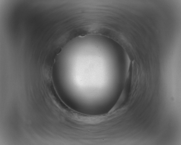 X0000082930044200702081552