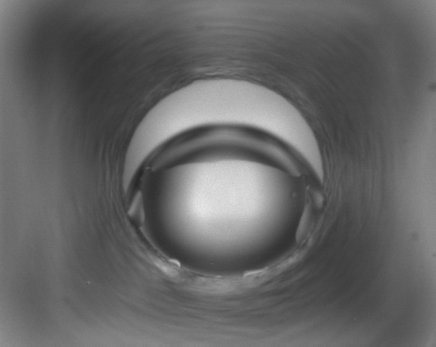 X0000082930045200702081552