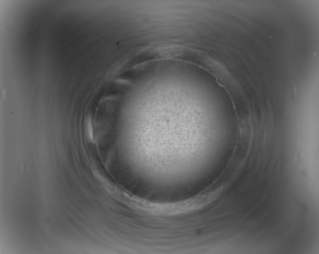 X0000082930046200702081552