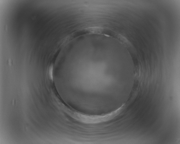 X0000082930047200702081552