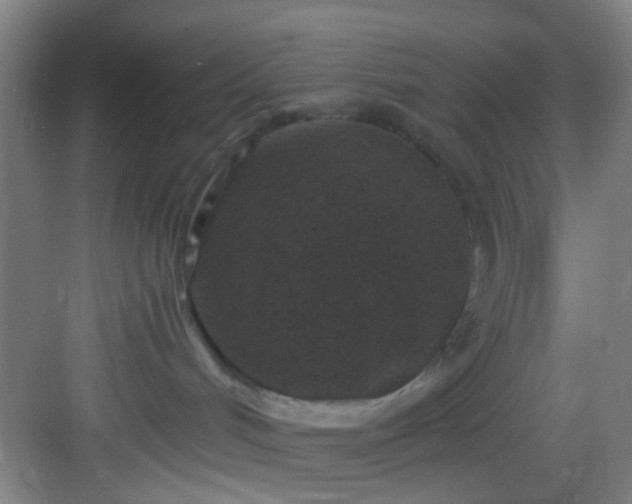 X0000082930048200702081552