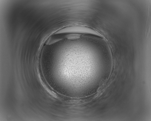 X0000082930049200702081551