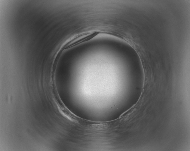 X0000082930050200702081551