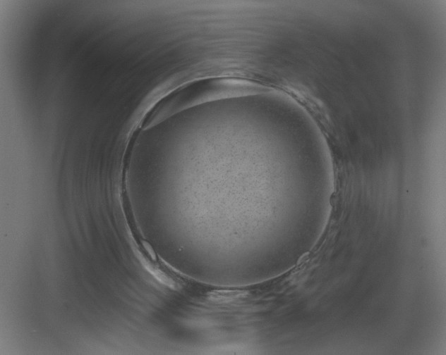 X0000082930051200702081551