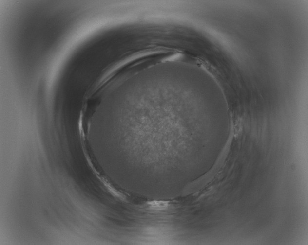 X0000082930052200702081551