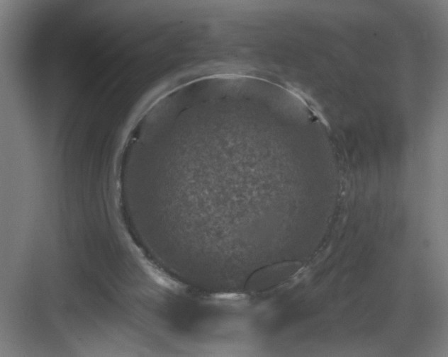 X0000082930053200702081551