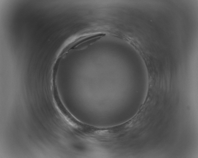 X0000082930054200702081551