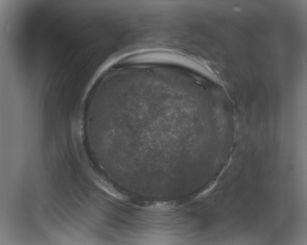 X0000082930056200702081551