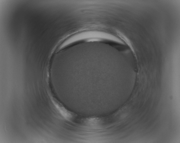 X0000082930059200702081552