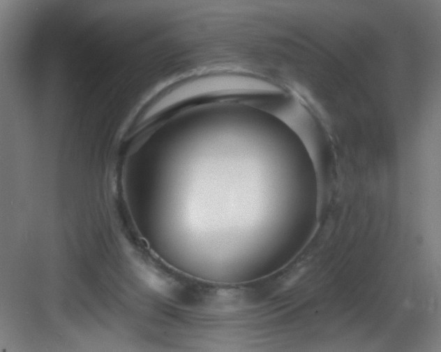 X0000082930060200702081552