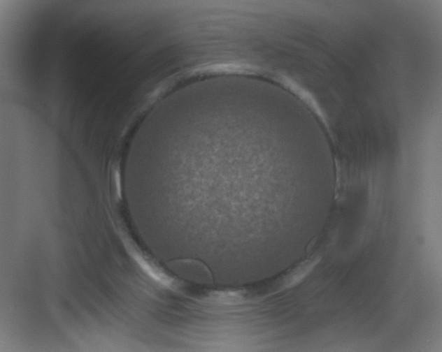 X0000082930061200702081552