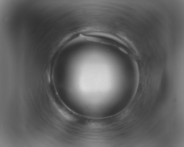 X0000082930062200702081552