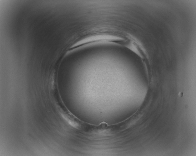 X0000082930065200702081552