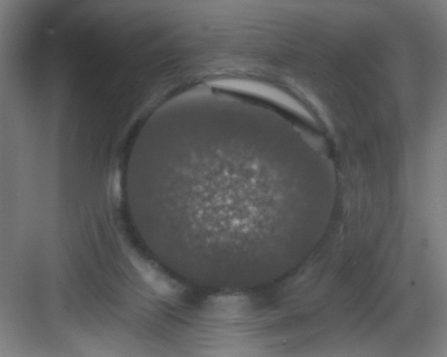 X0000082930067200702081552