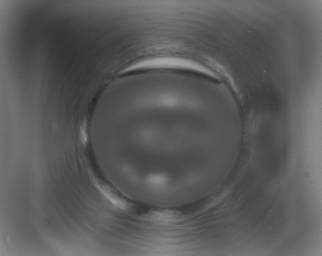 X0000082930069200702081552