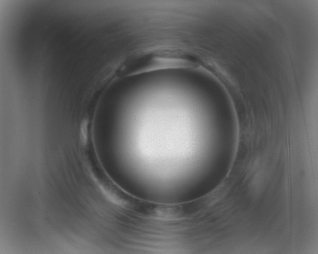 X0000082930070200702081552