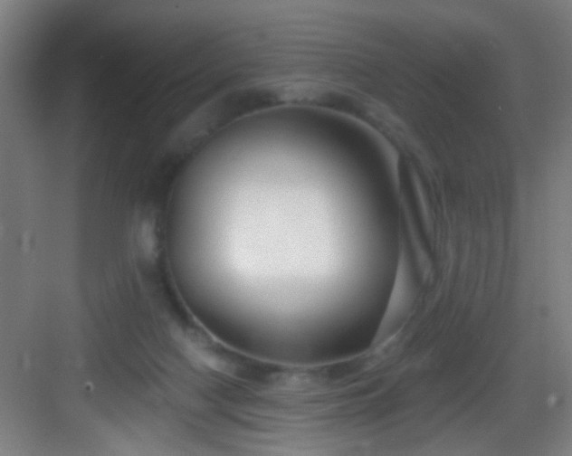 X0000082930074200702081552